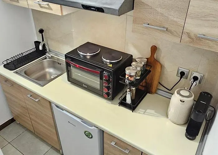 Lejlighed Spiti Center *